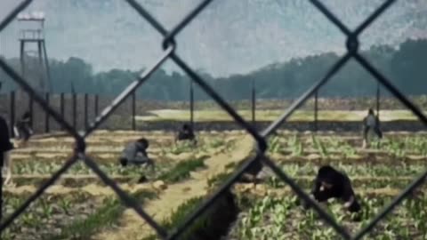 Inhuman Prison North Korea