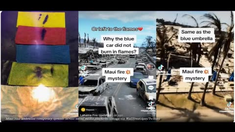 The ELITES of the OCTOGONE and what's to come