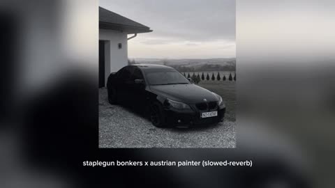 staplegun bonkers x austrian-painter (slowed-reverb) 2024-03-27 14-07-13
