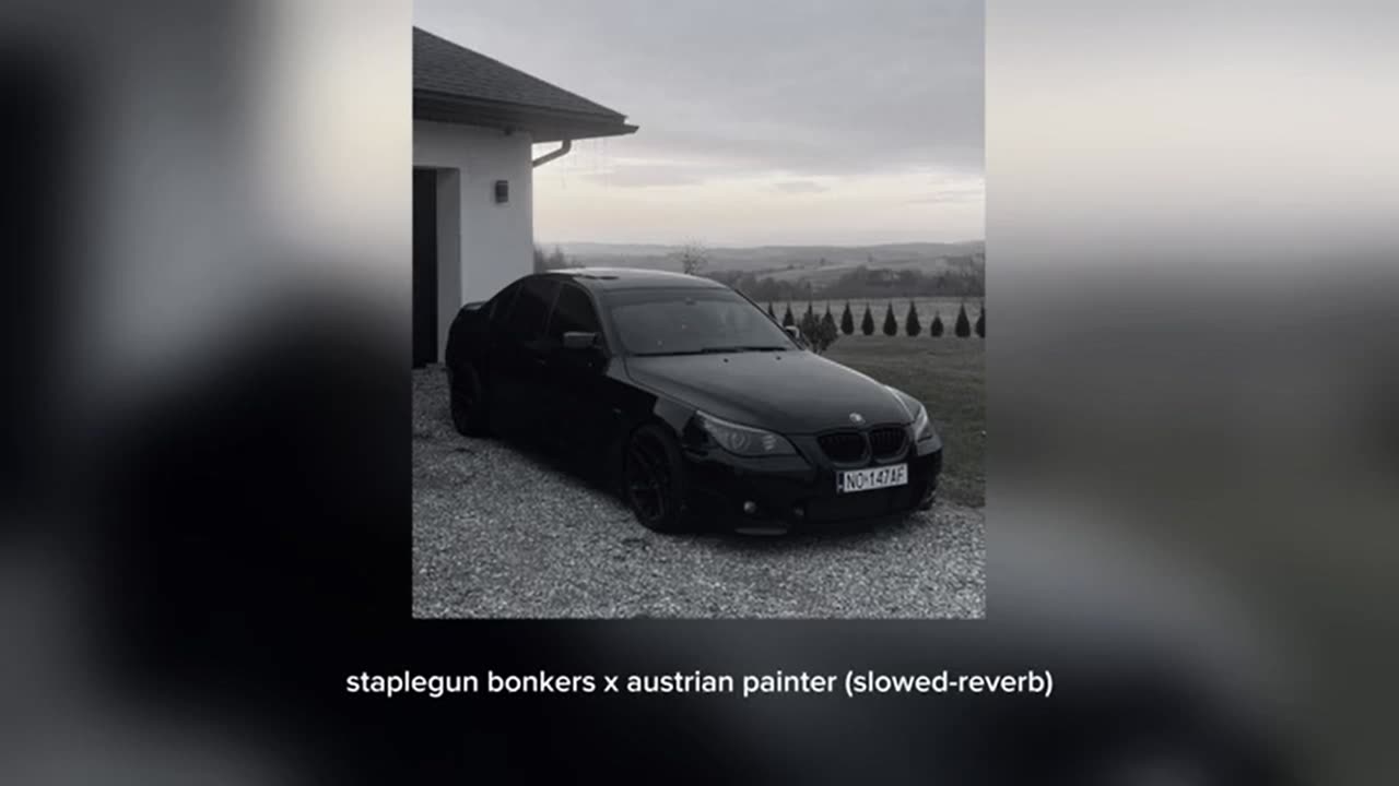 staplegun bonkers x austrian-painter (slowed-reverb) 2024-03-27 14-07-13