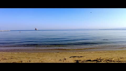 Slowmo seagull 🇬🇷 (Peraia, Thessaloniki, Greece)