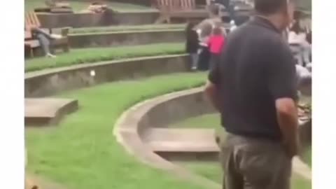 Dog being weird