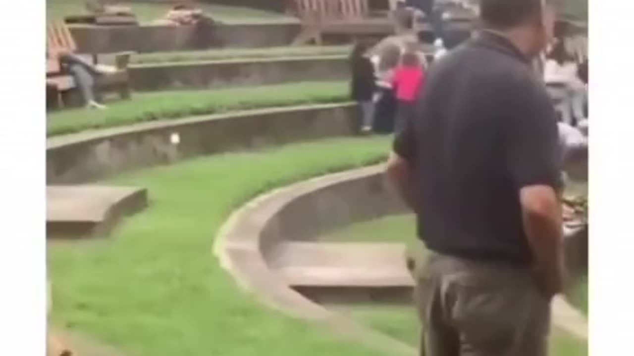 Dog being weird