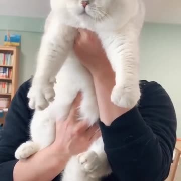 #FYP #ForYou #TikTokFYP #ForYouPage #Trending #Viral #ExplorePage #FYPシ