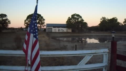 Cold here at Venus Ranch this morning!