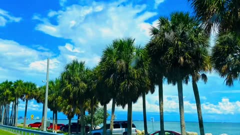 Courtney Campbell Causeway Clearwater FL