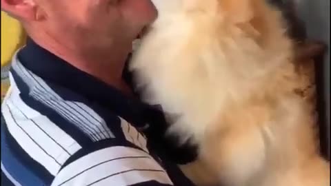Funniest Animals 2023 😂 Funny Cat And Dogs 🐱🐶 / Funny Animals videos
