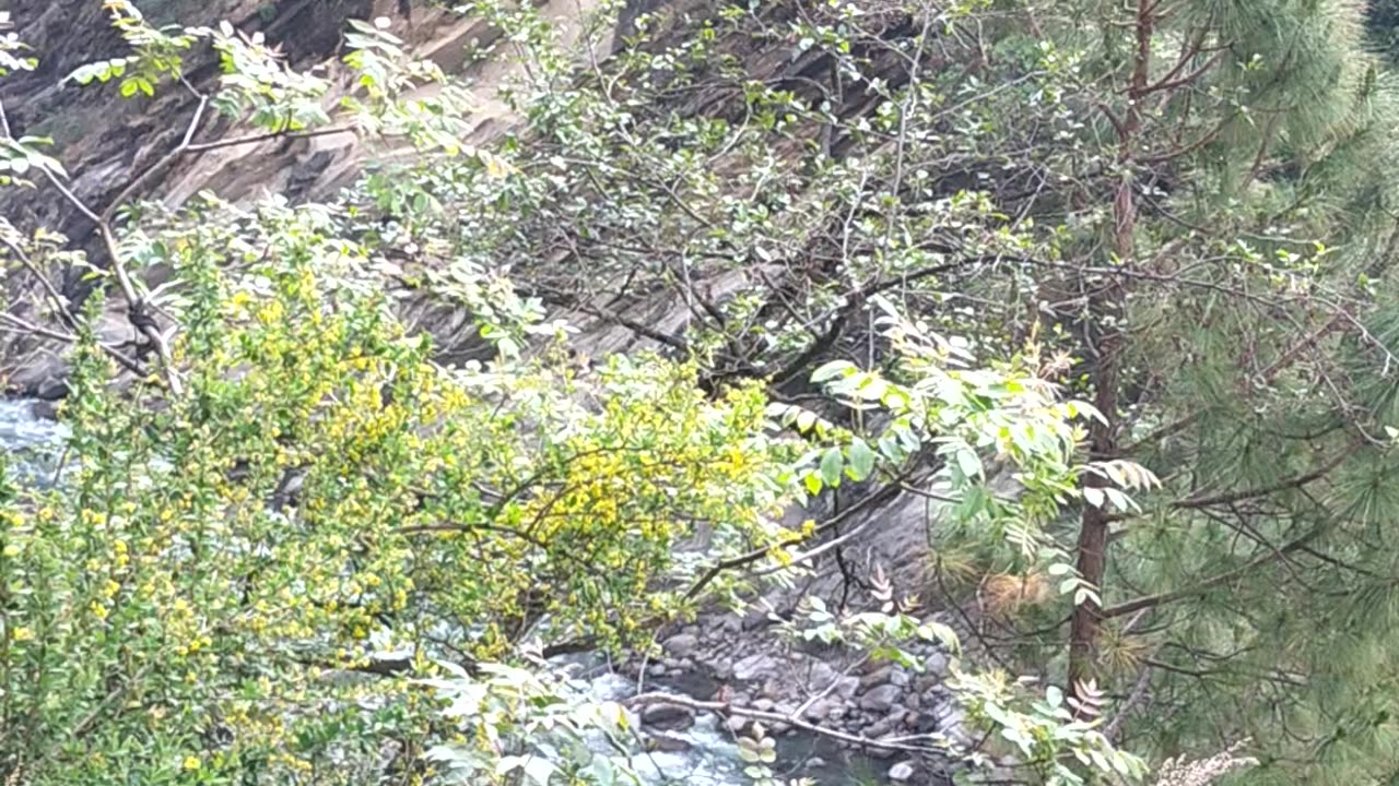 Beautiful Uttarakhand