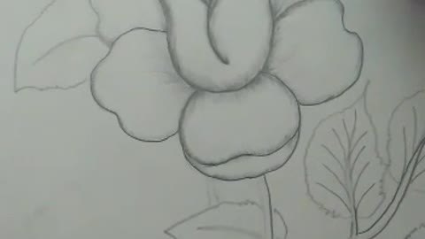 Pencil drawing