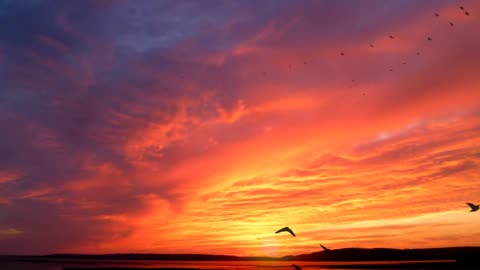 4K Videos (ULTRA HD) __ Red Sky __ Nature __ Background Videos __ Non Copyrighted Videos (1)