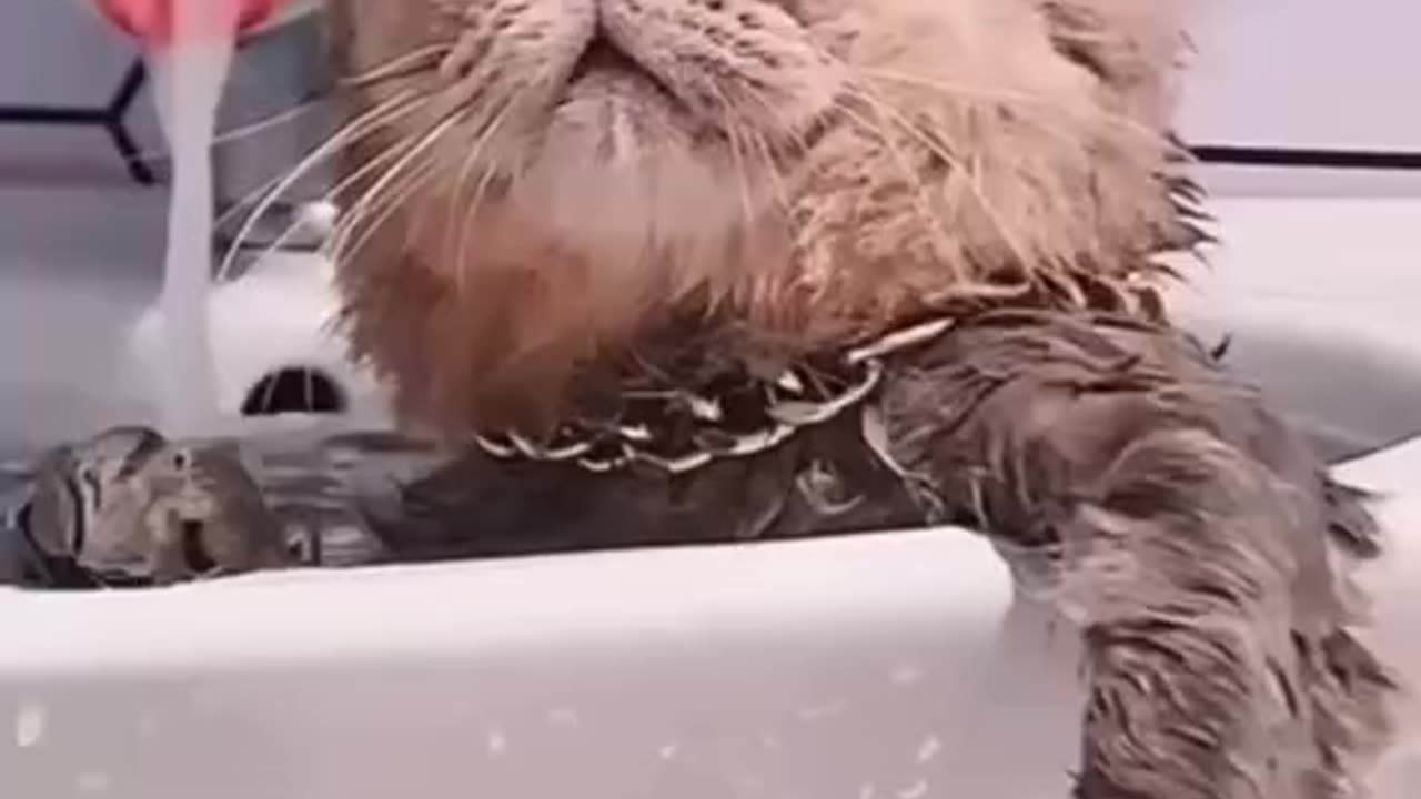 Awful cold day outside today