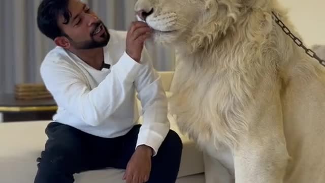 funny|prank|jokes|funny jokes|dad jokes|funny memes|funny video|fun|laughing|funny animal|knock 12