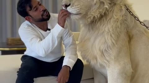 funny|prank|jokes|funny jokes|dad jokes|funny memes|funny video|fun|laughing|funny animal|knock 12