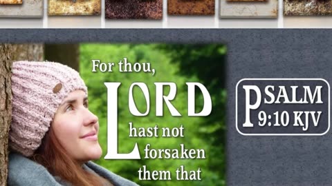 Morning Prayer to Seek the Lord #youtubeshorts #grace #jesus #mercy #faith #fyp #bless #love #trust