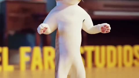 Cats funny videos 😂🤣