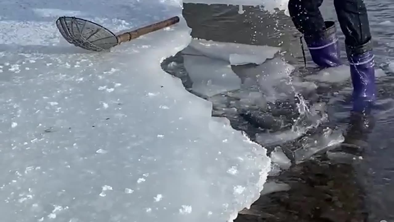 New Primitive Technology FISH TRAP with Fishing