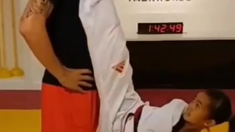 Zlatan Ibrahimovic Taekwondo Instructor Kids