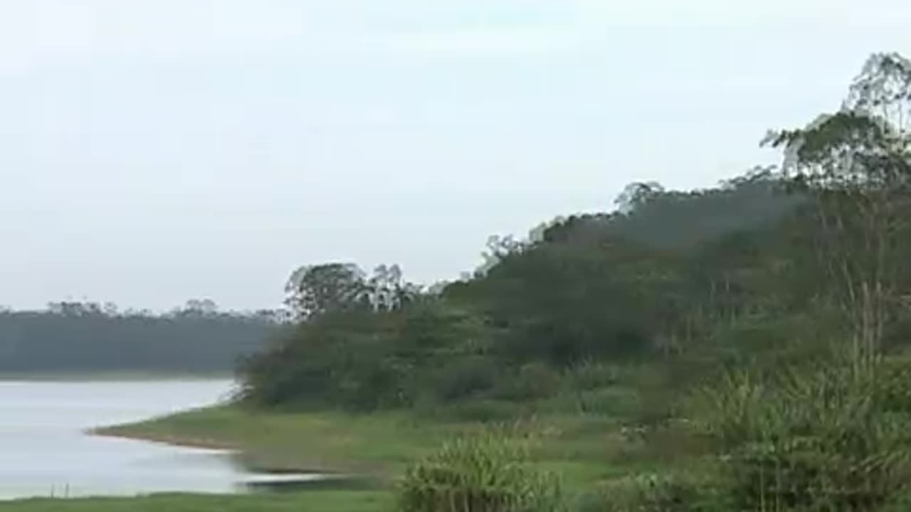 Dan Robson Projeto Nossas Águas & Represa Billings