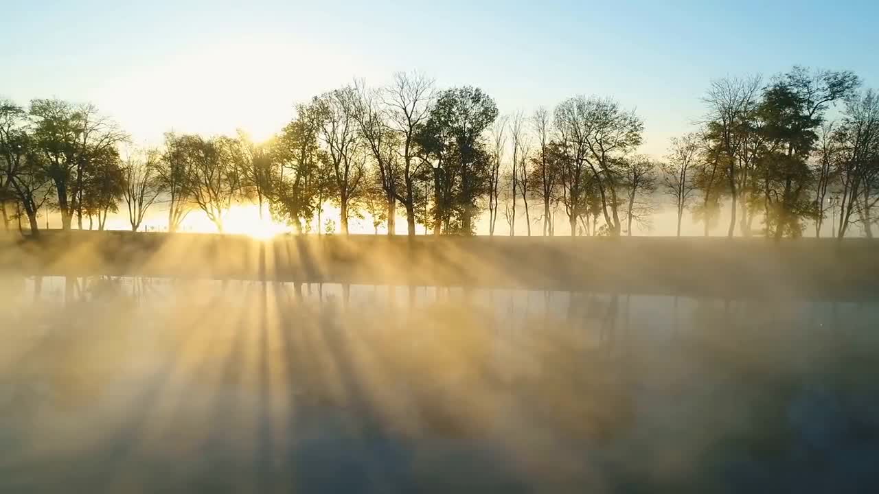 Enchanting Autumn Forests with Beautiful Piano Music
