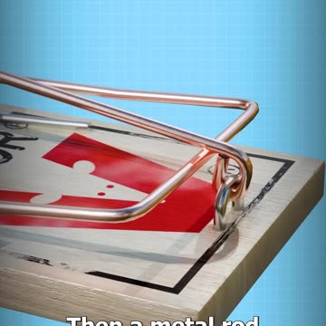 How A Mouse Trap Works 🐭