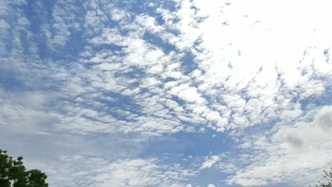 White clouds are floating leisurely.