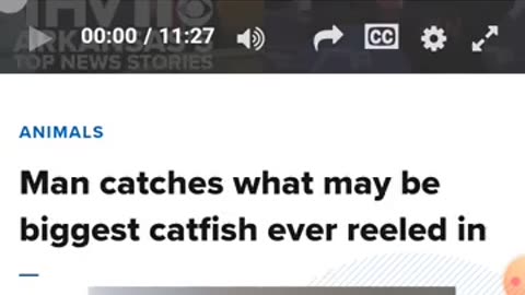 THV 11 needs to improve their web design.