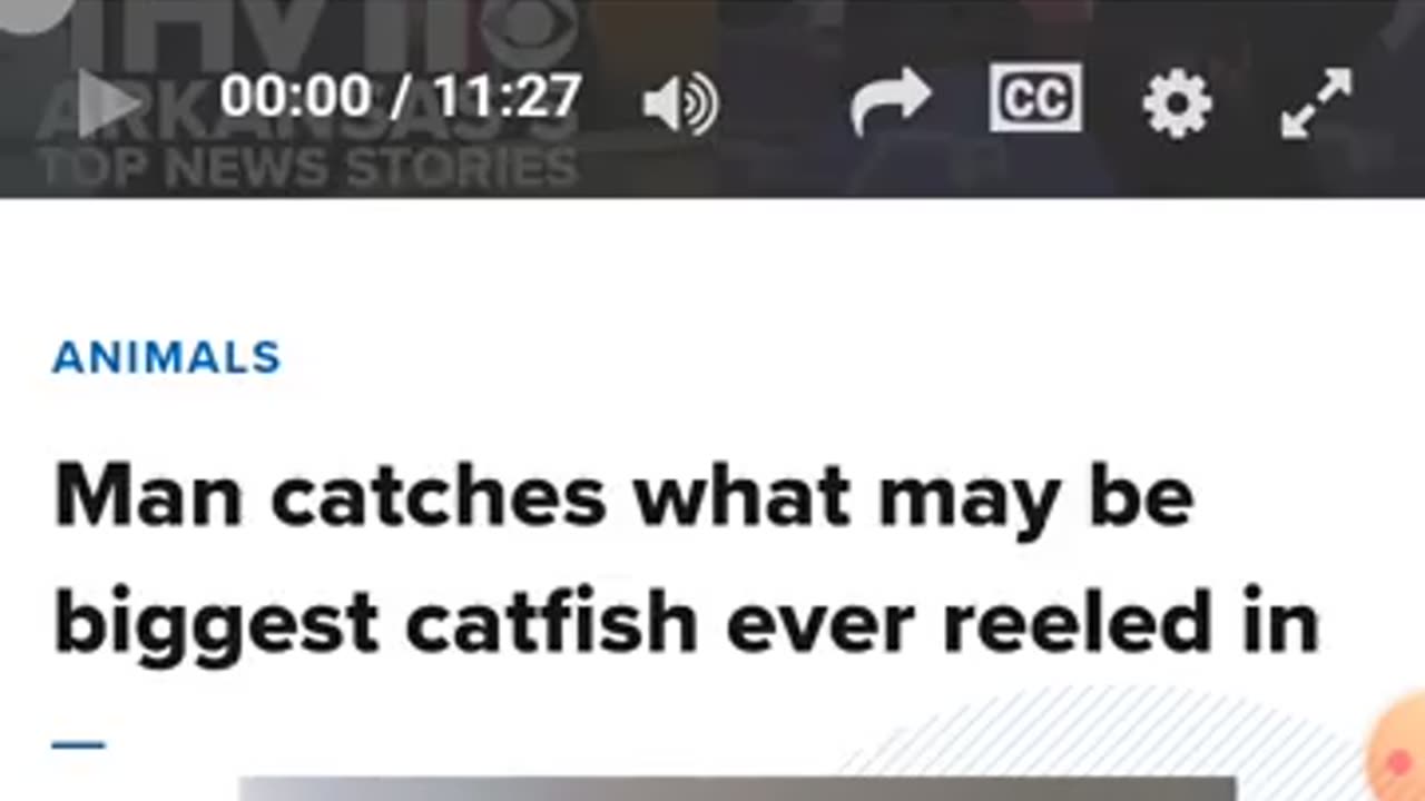 THV 11 needs to improve their web design.