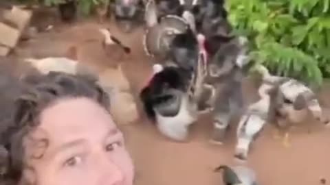 Cute animal for funny 🤣
