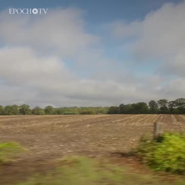 They Will Make You Eat Bugs & Be Happy?