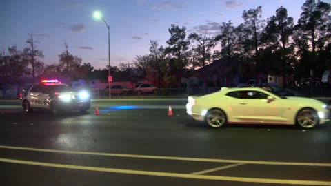 Crash on Jones and Wittig in Las Vegas Leaves 2 Critically Injured and Dog Dead