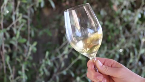 Sherwood Estate - Sauvignon Blanc