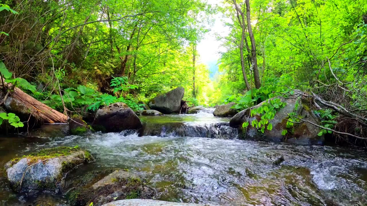 Babbling Brook: 90 Minutes of Creek Sounds and Relaxing Music