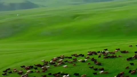 Xinjiang not only has stunning original natural scenery,