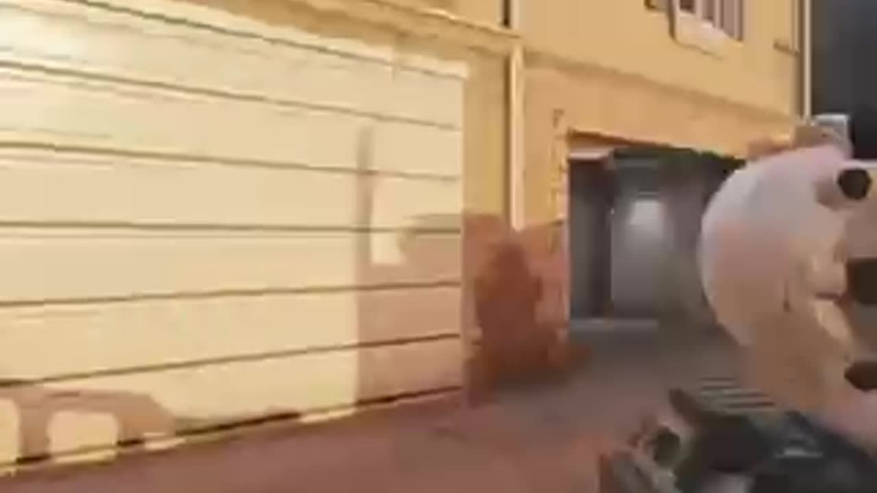 Not through the wall π€·πΎββοΈπΊπΎ