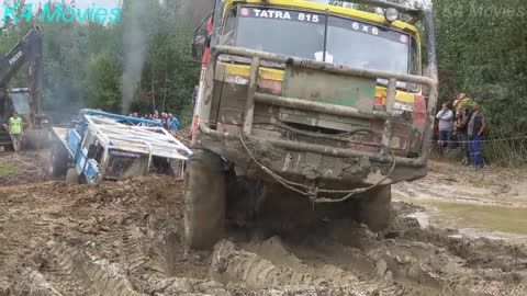 Bull man cross country