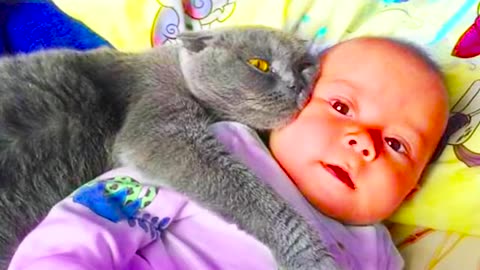 Funny Baby Videos with their Adorable Animal friends