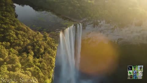 The World’s Largest Tropical Rainforest - Part 01