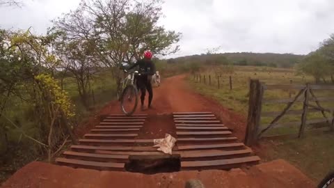Funny Scary Animal Experience