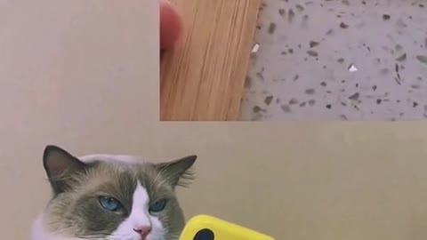 Be sure to finish it .there’s a surprise behind it