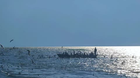 Go to see the sea, the sea breeze will blow away all the troubles