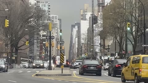 NYC weather is bipolar