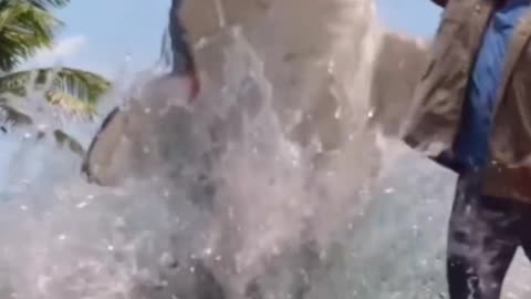 Shaquille O_Neal accidentally
