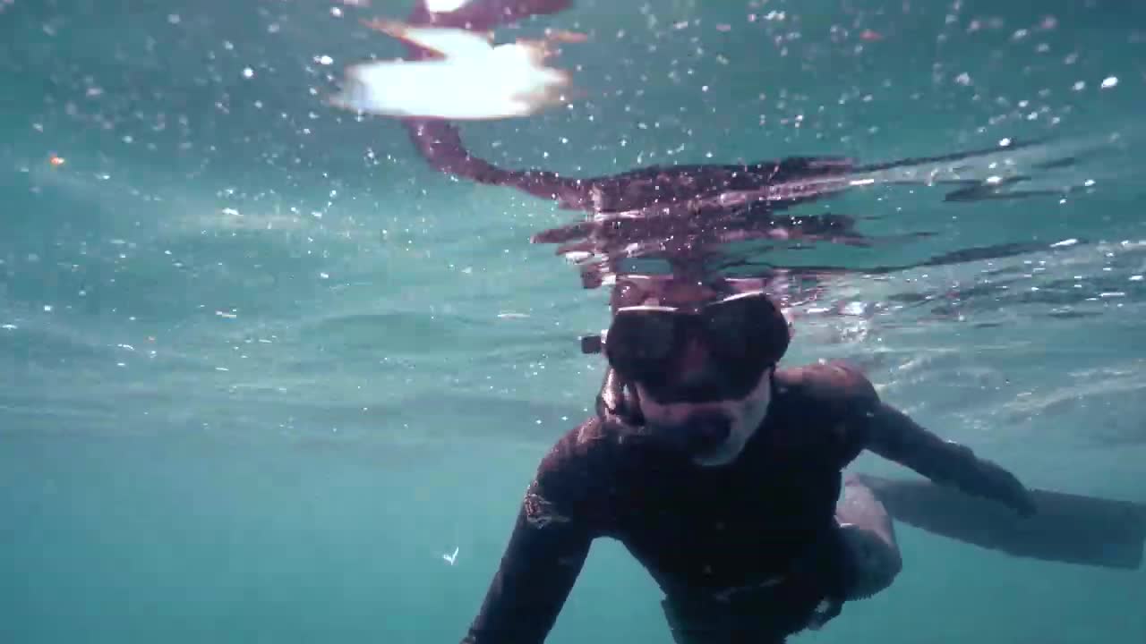 Beci and the blues - freediving with blue sharks