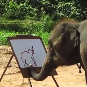 Elephant painting an elephant