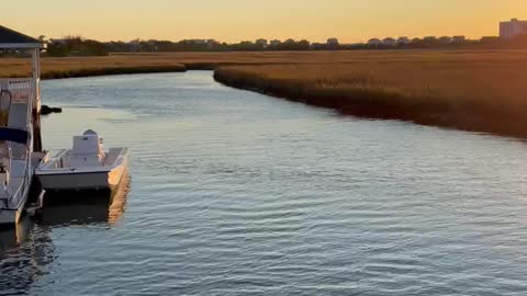 Salt Marsh Sunset