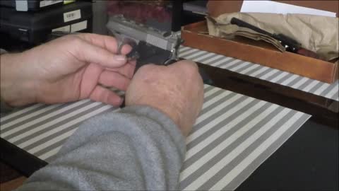 22LR Caliber Pistols for Everyday