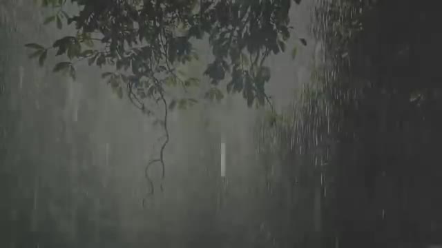 Sonidos de Lluvia y Truenos relajante para dormir 30 minutos