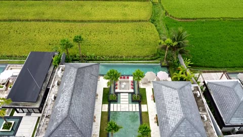 NEW 5BR Serene Villa with WONDERFUL Ricefield View in UBUD