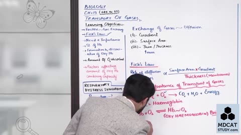 LEC#11 TRANSPORT OF OXYGEN