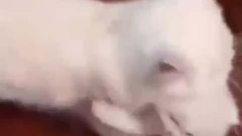 No Playing Outside Kid 🤣
